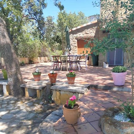Casa Rural Vinas Perdidas เบคาร์ ภายนอก รูปภาพ